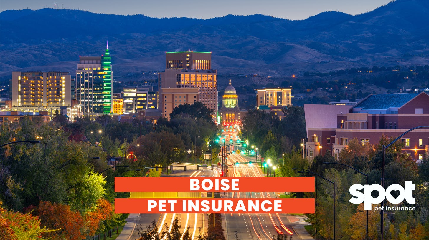 A picture of a city with lights and mountains in the background