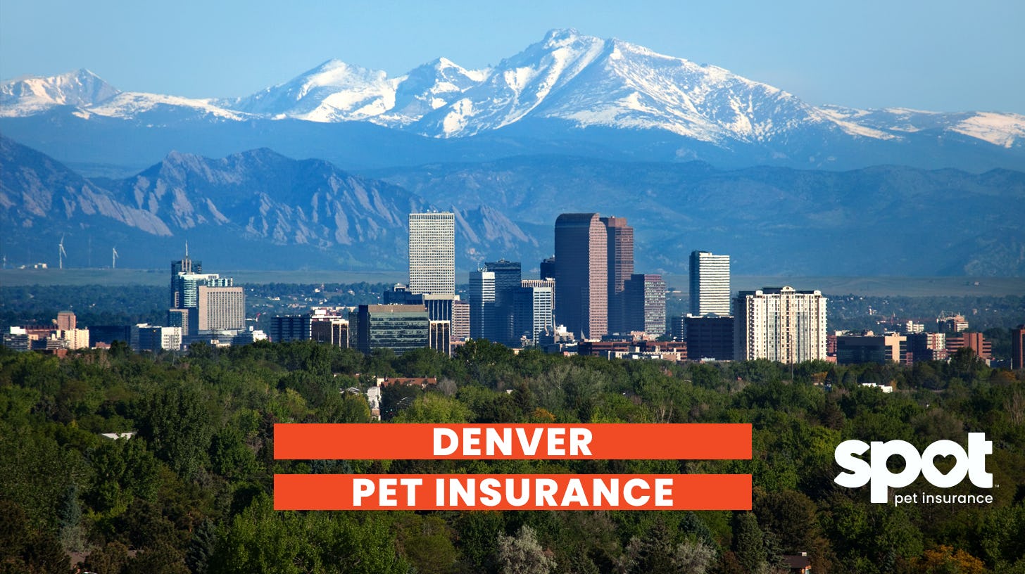 a picture of the city denver with mountains in the background