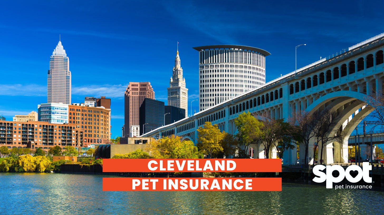 a picture of the city cleveland