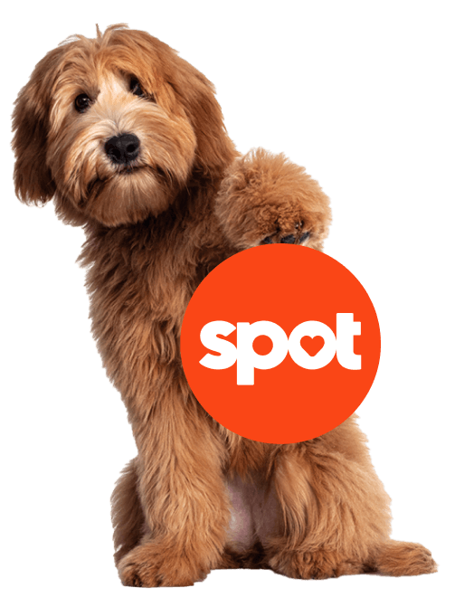 Dog with Spot logo