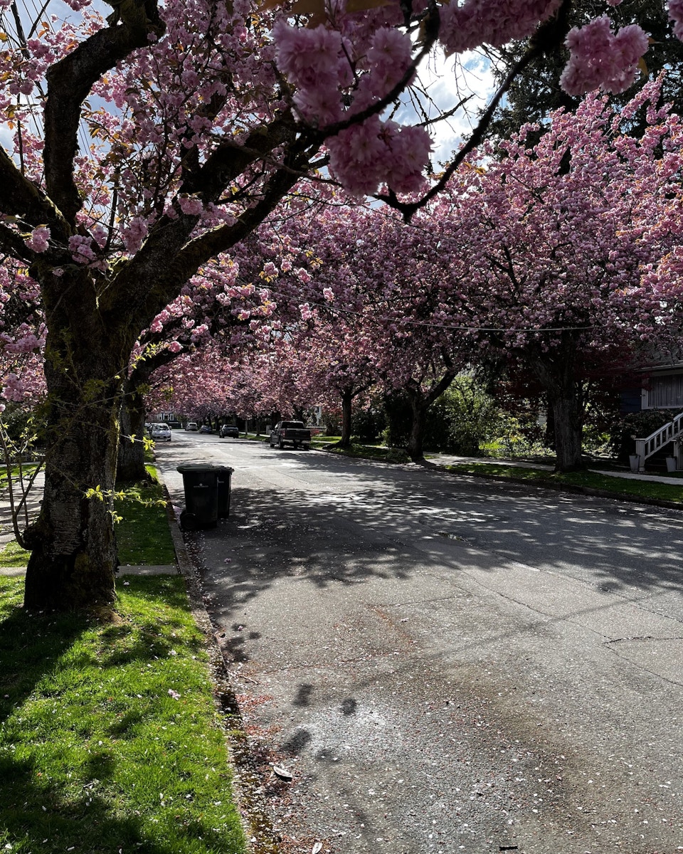 Image description not provided