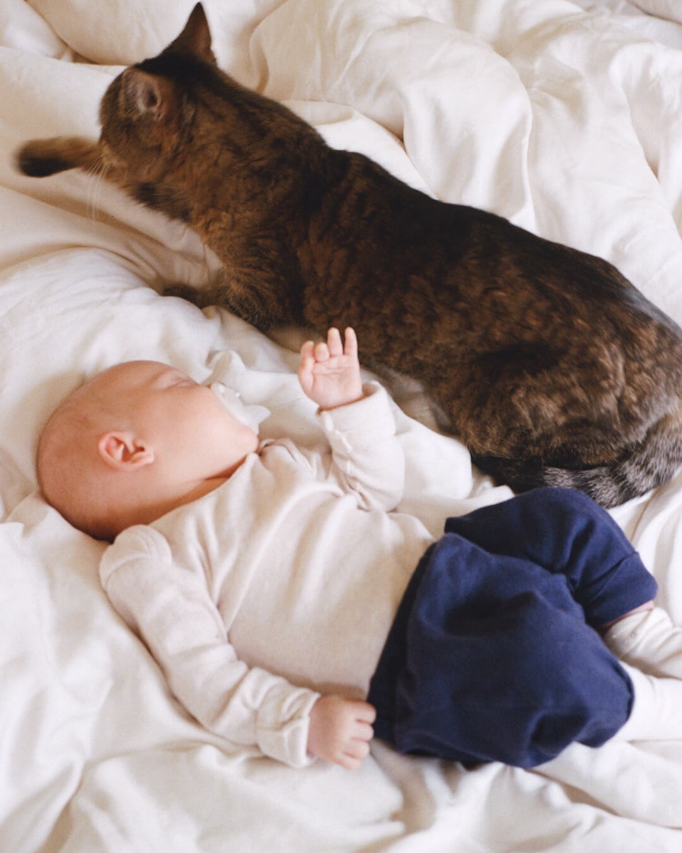 Image description not provided