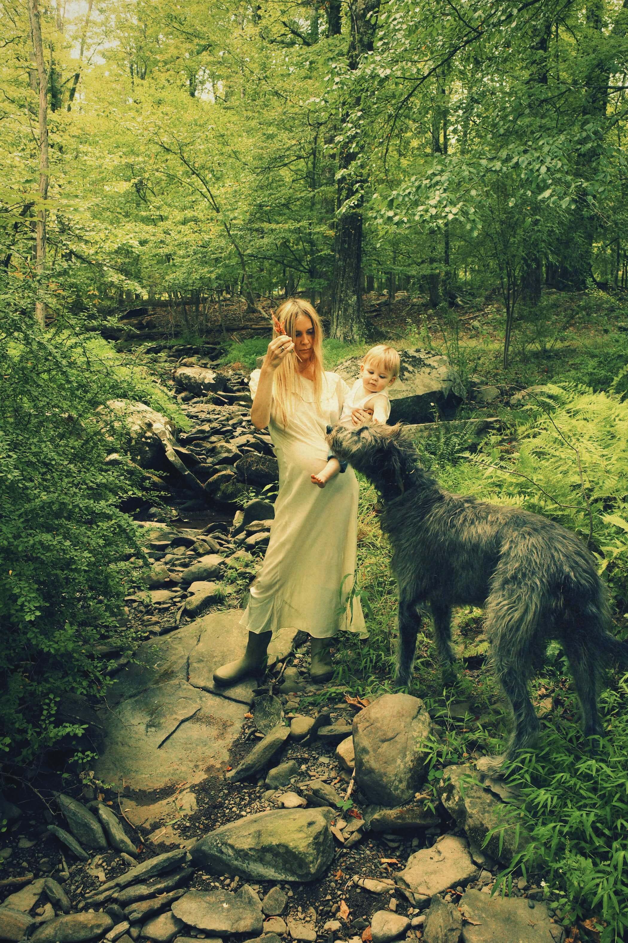 Image description not provided