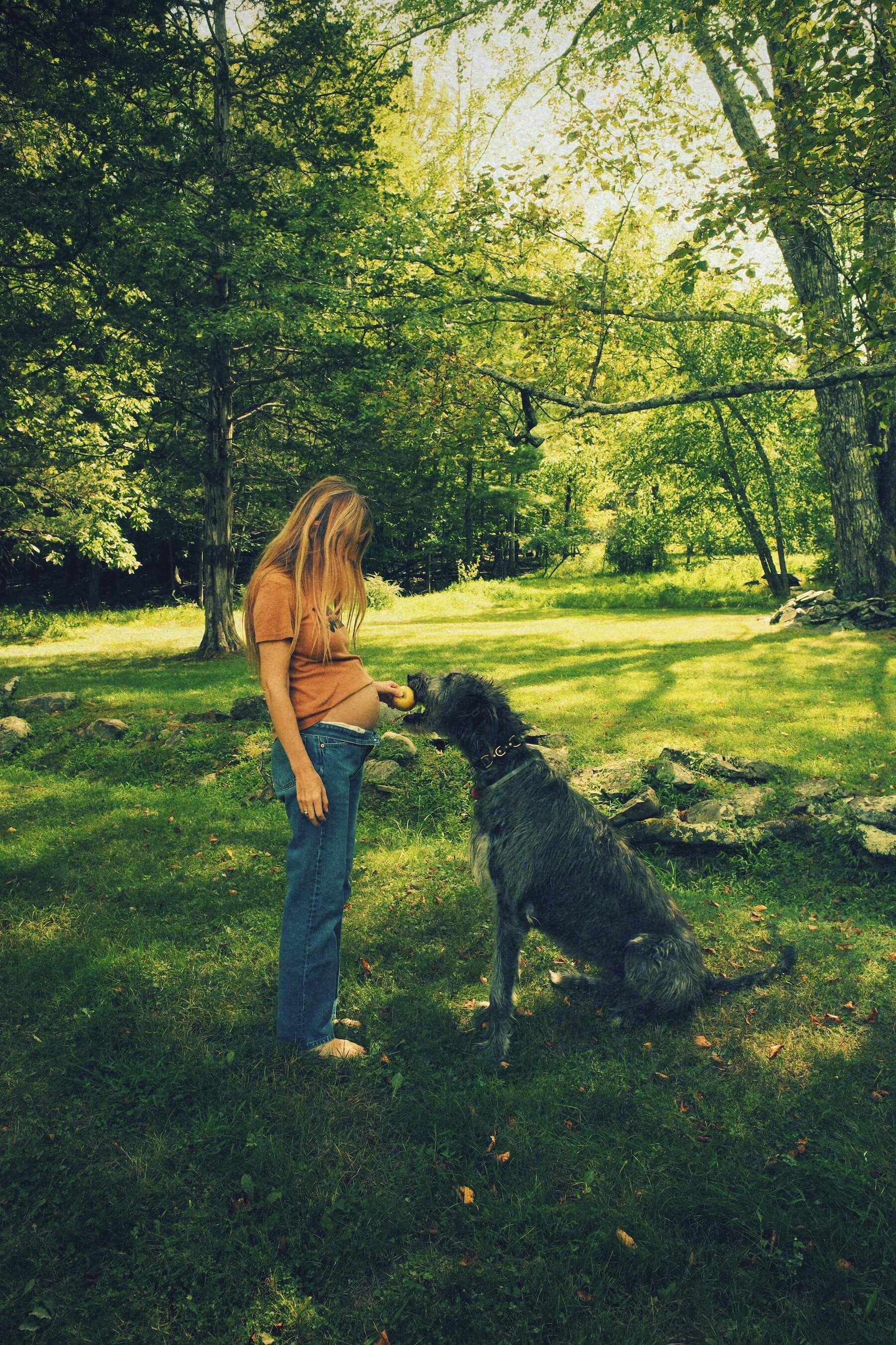 Image description not provided