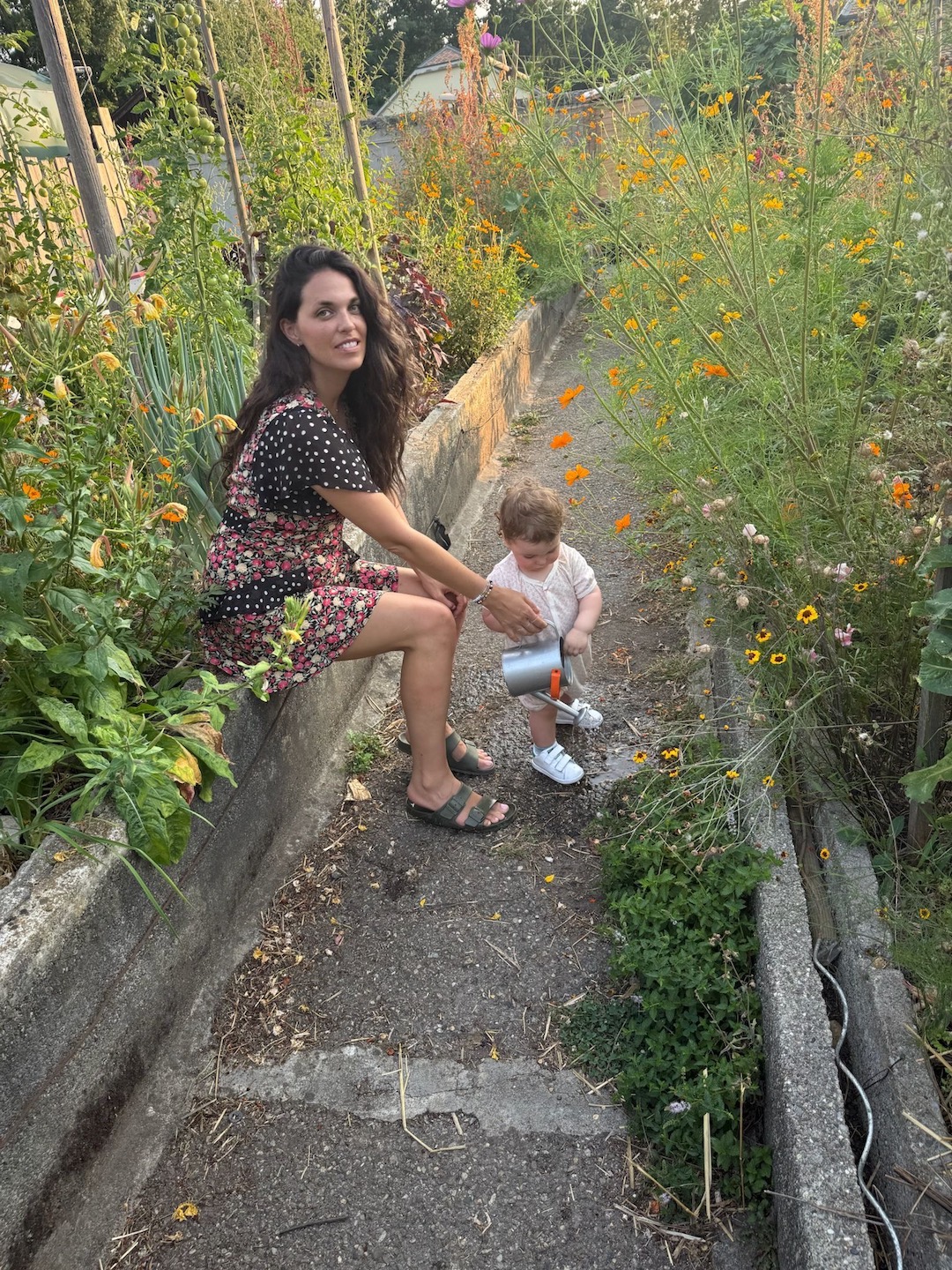 Image description not provided