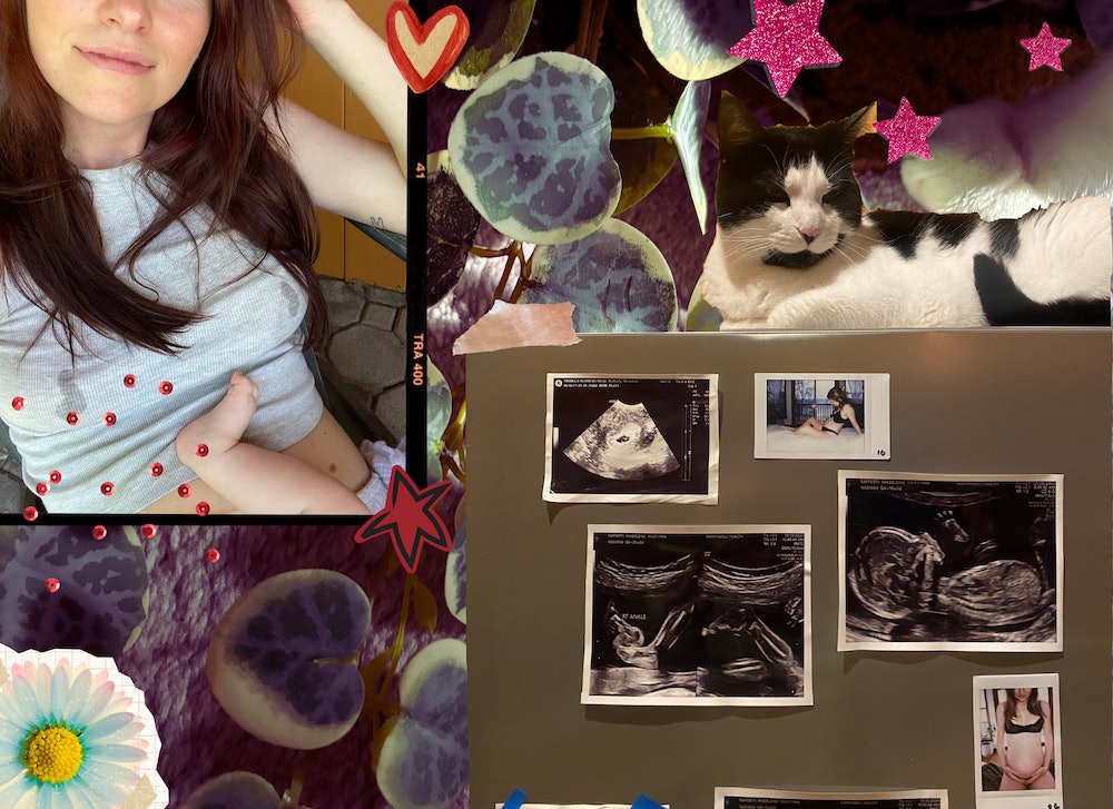 No image description provided.