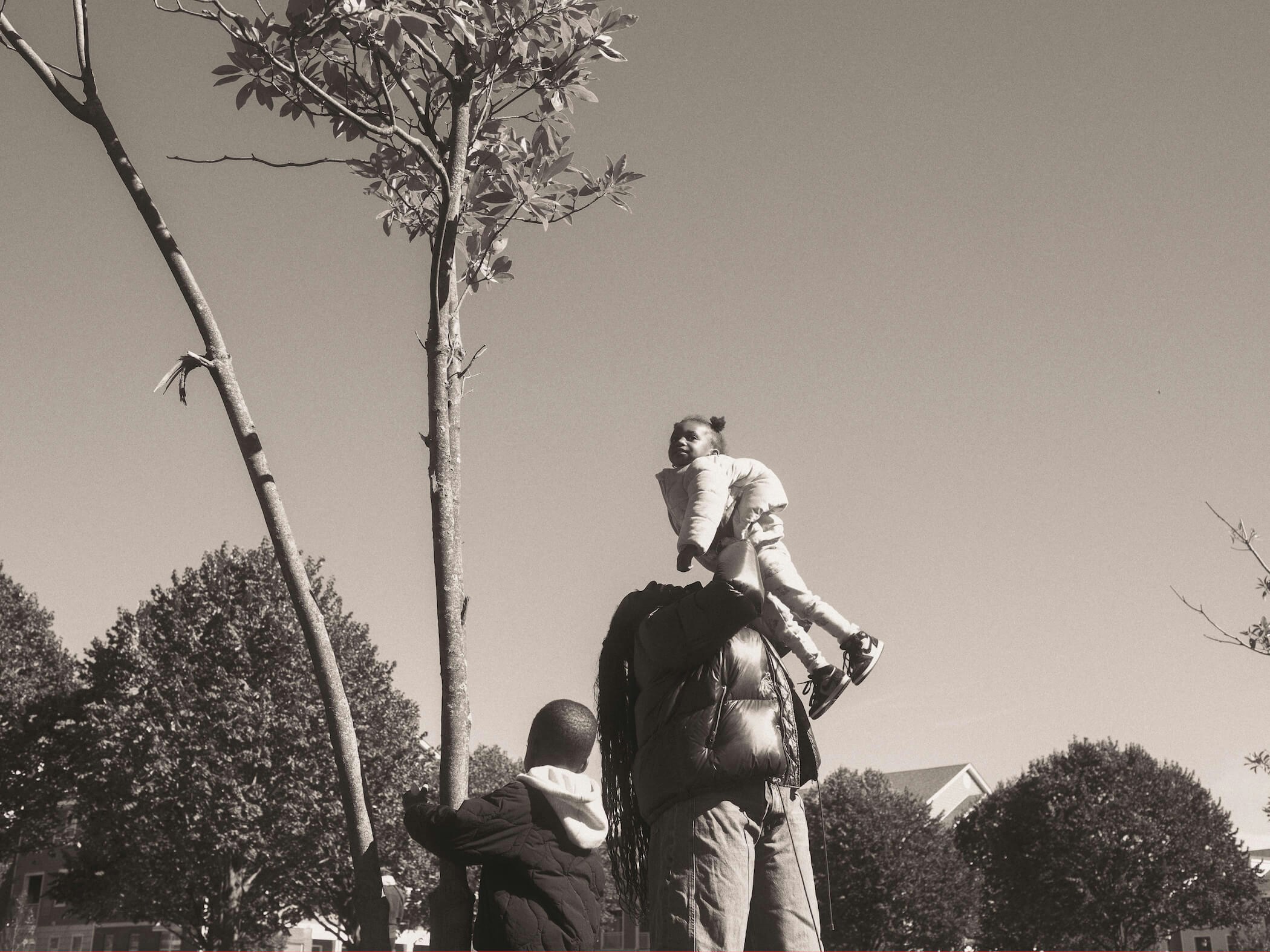 Image description not provided