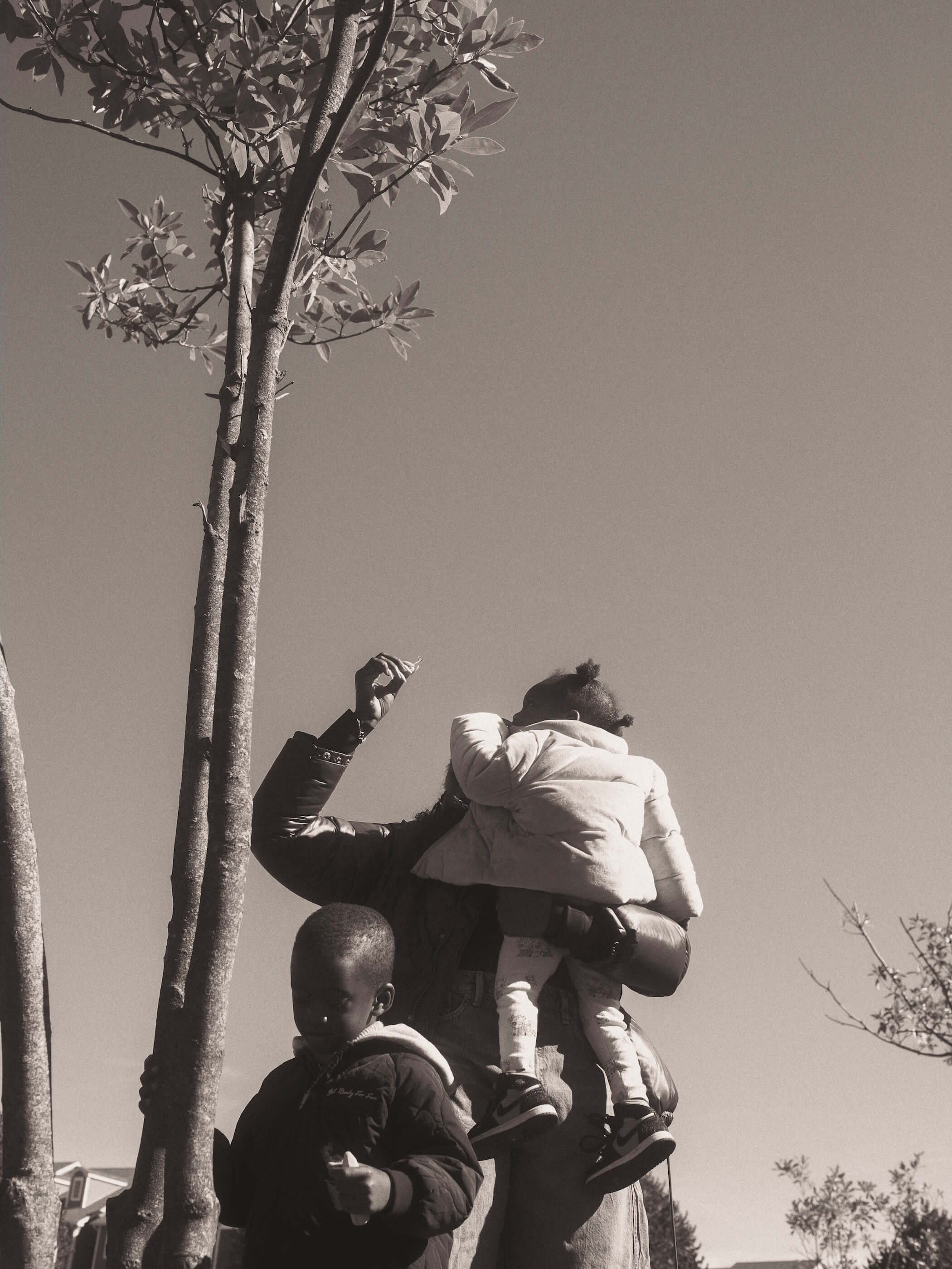 Image description not provided