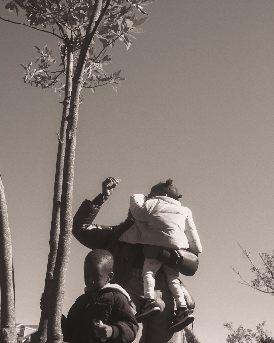 Image description not provided