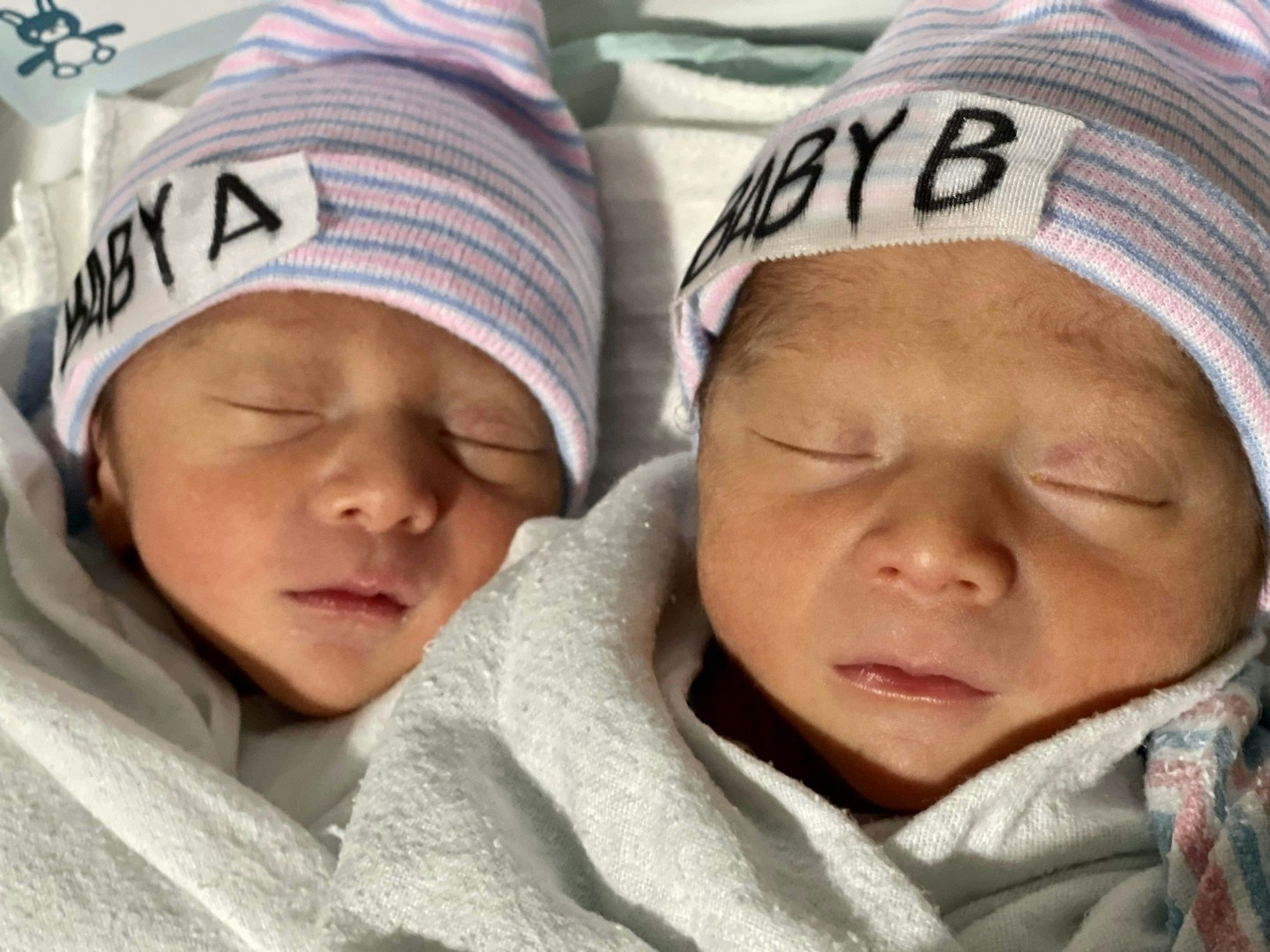 Image description not provided