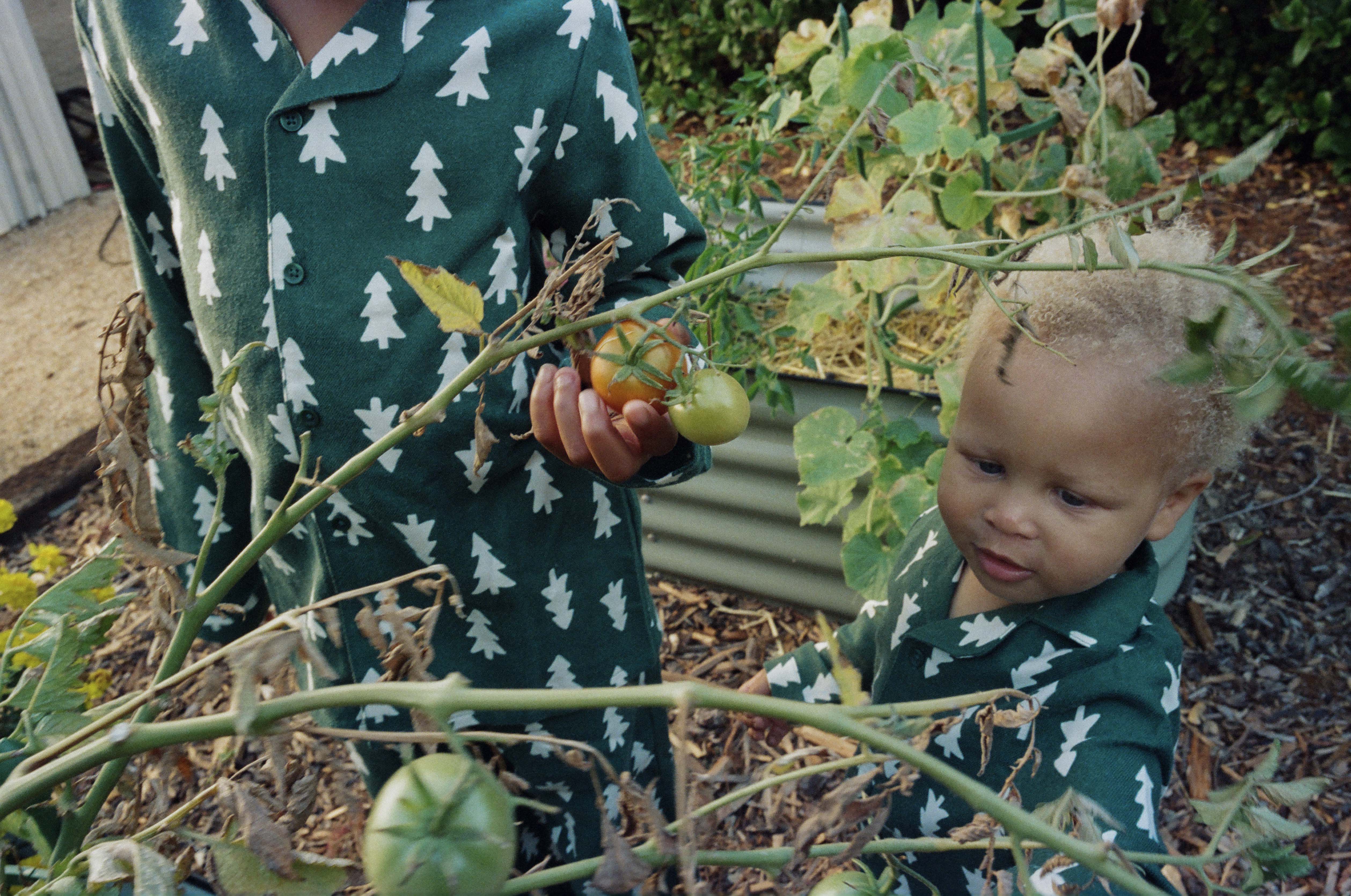 Image description not provided