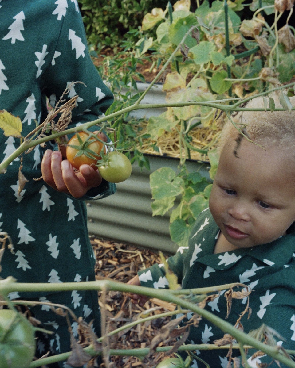 Image description not provided