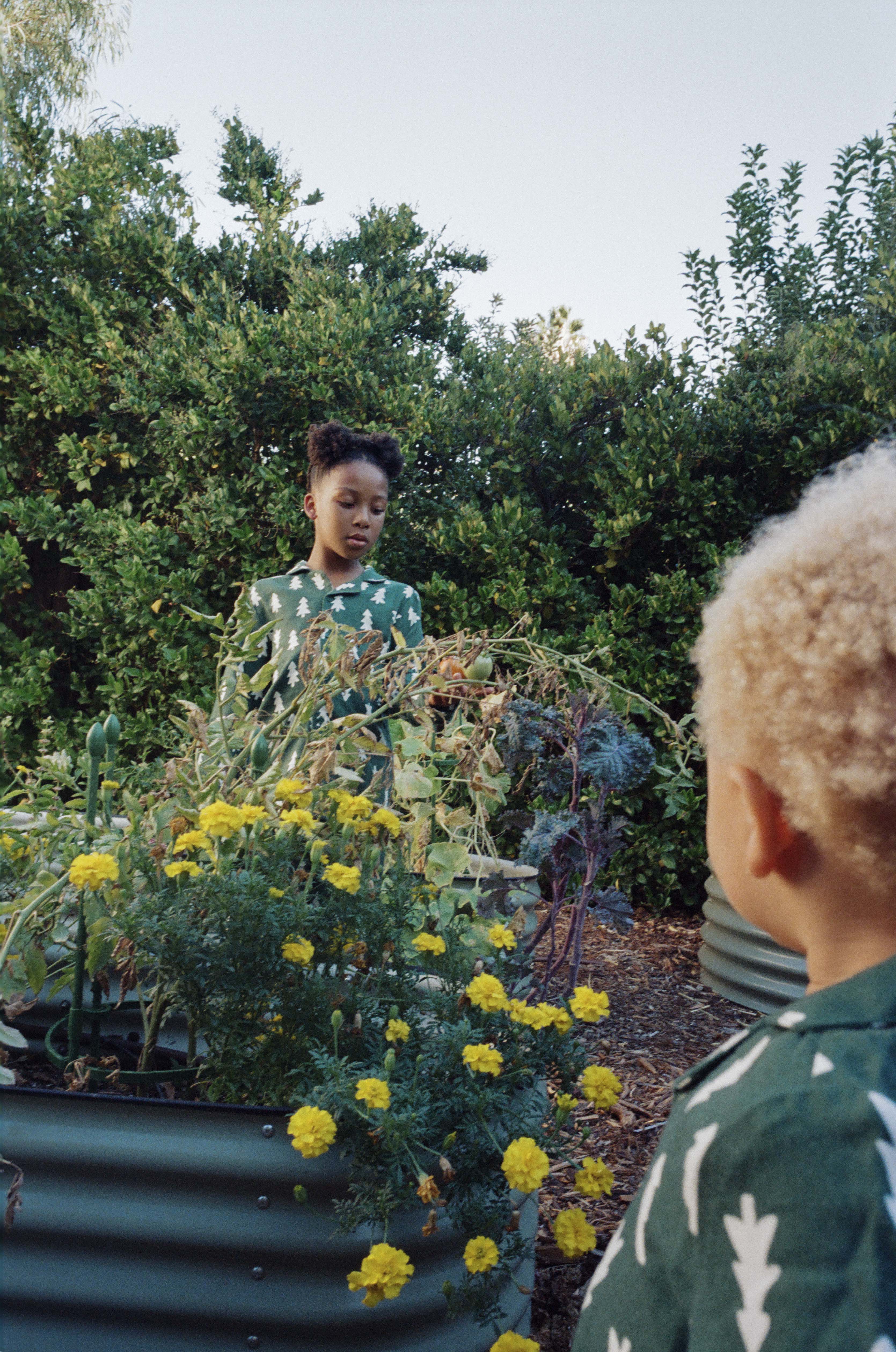 Image description not provided