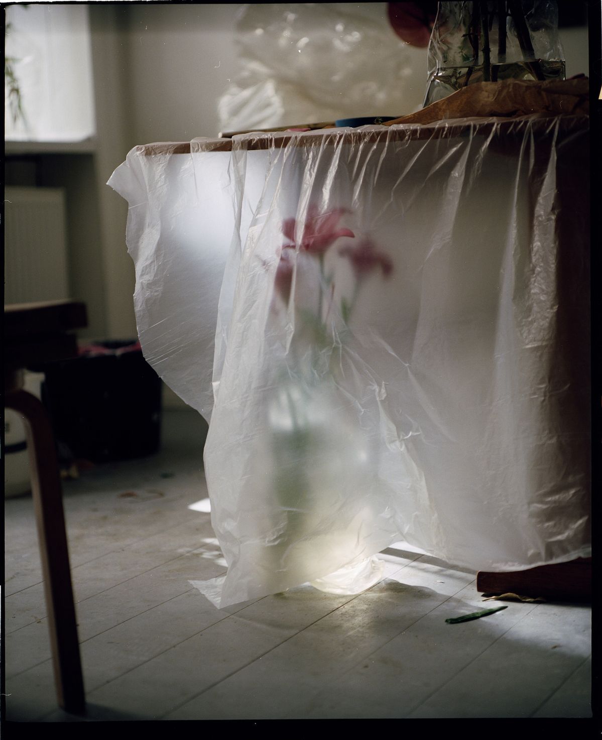 No image description provided