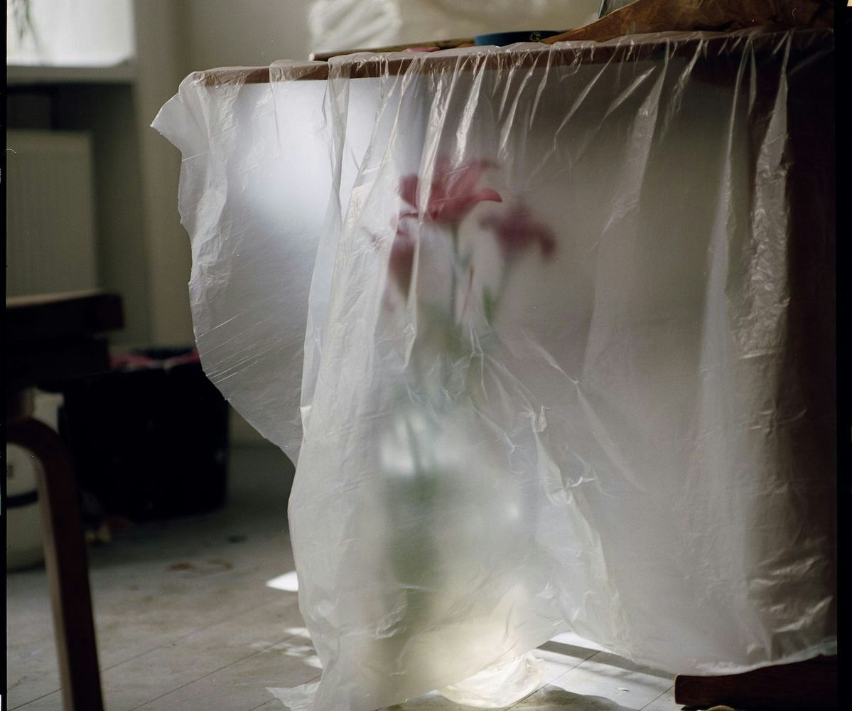 No image description provided