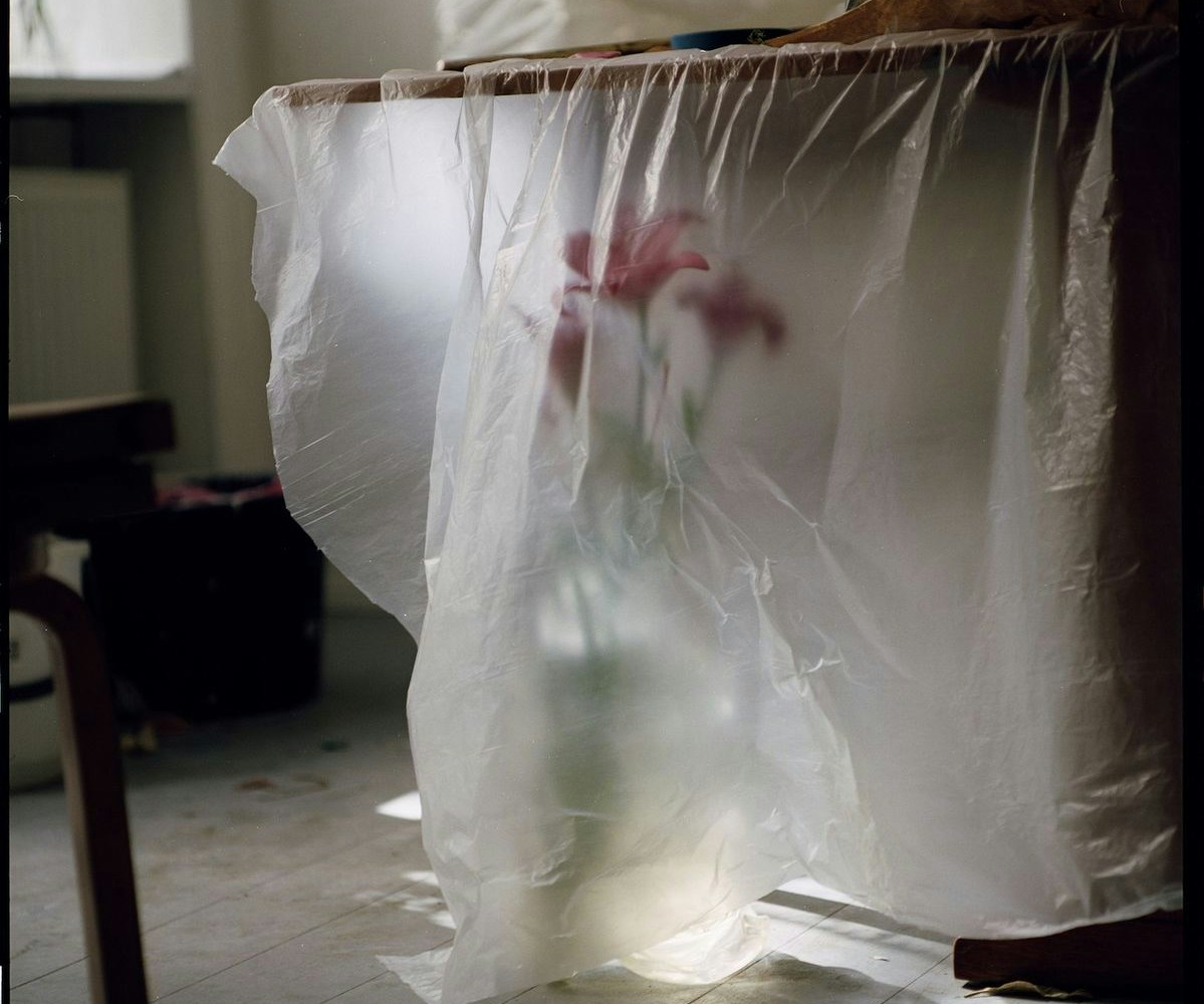 Image description not provided