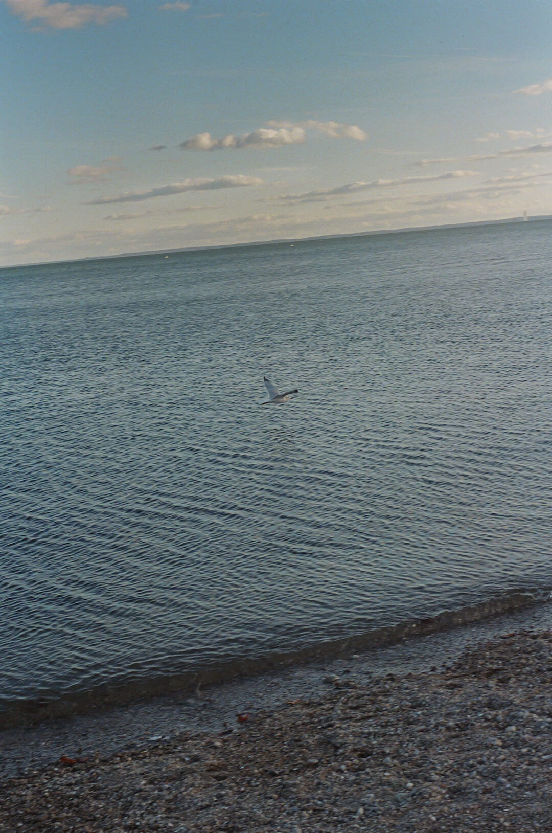 Image description not provided