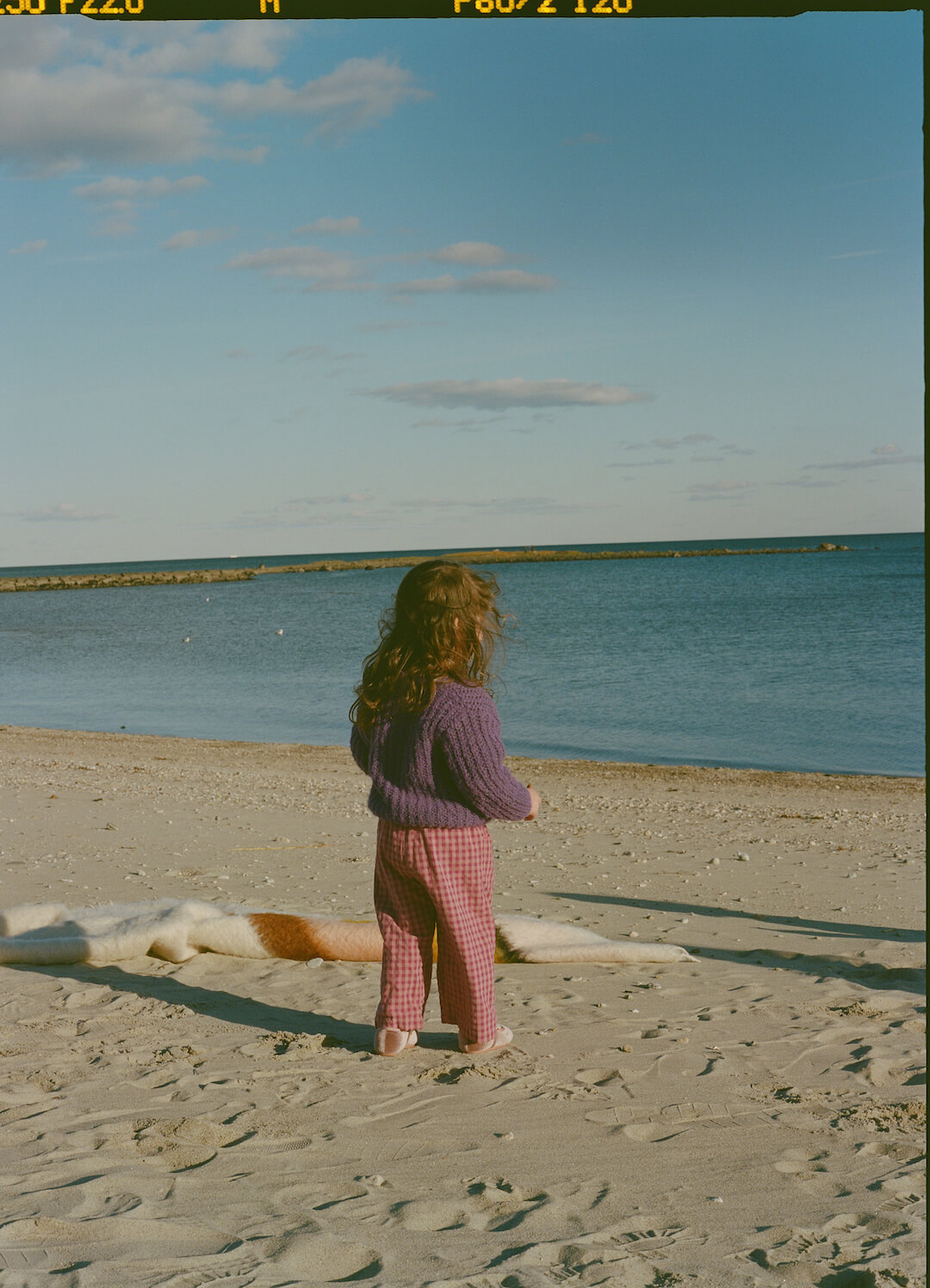 Image description not provided