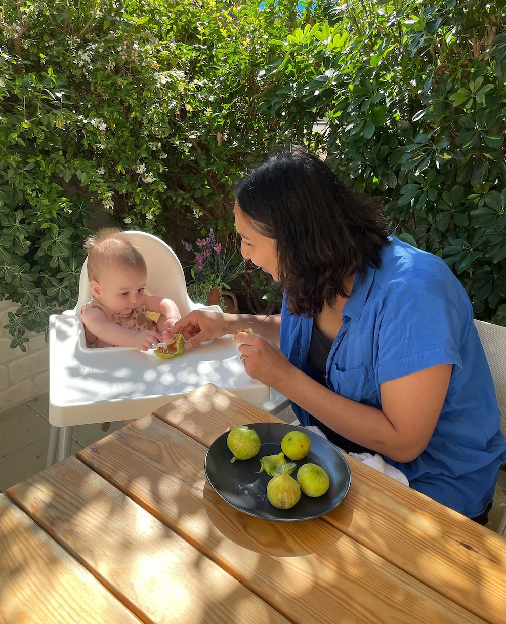 Image description not provided