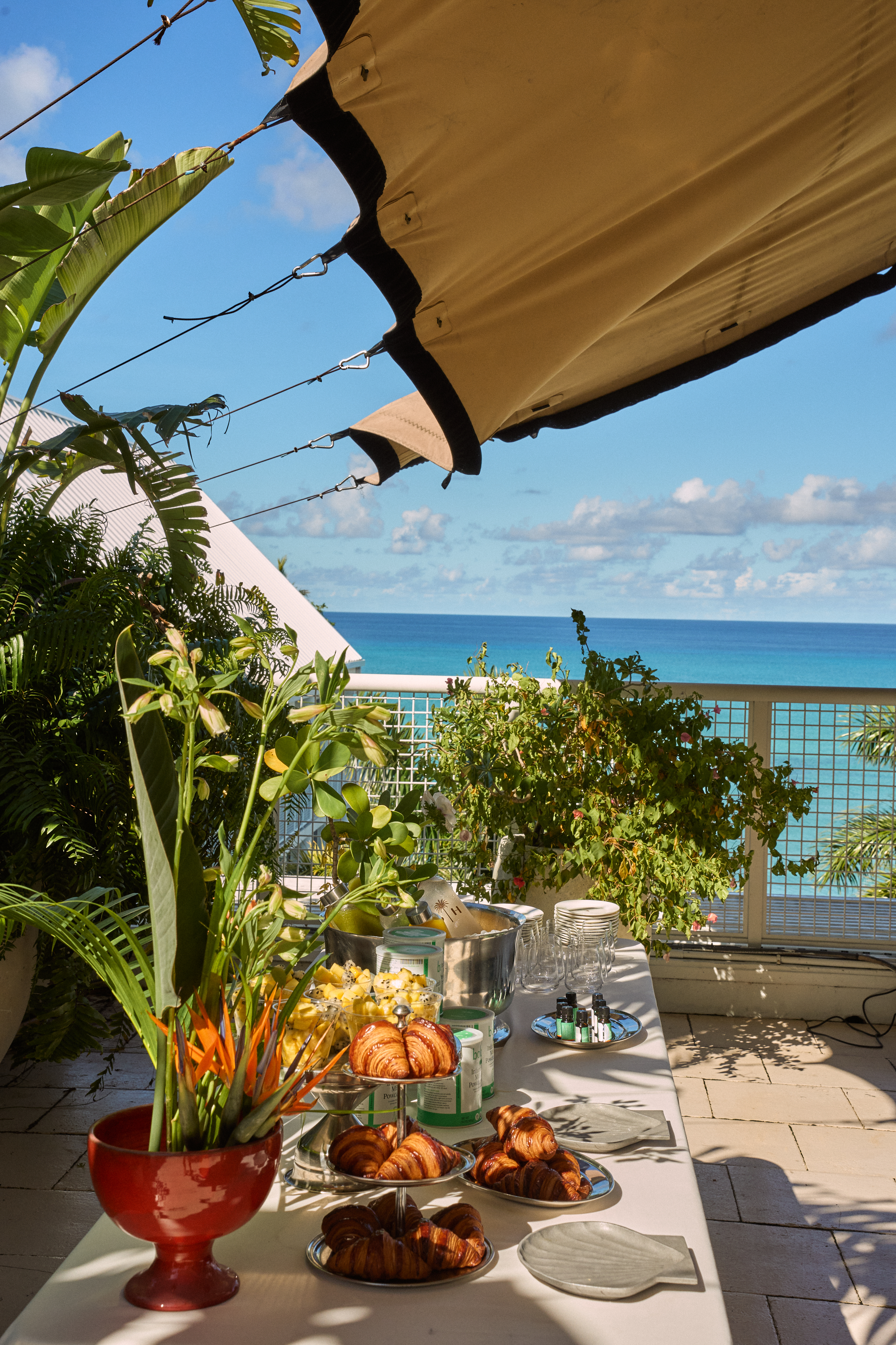 Image description not provided