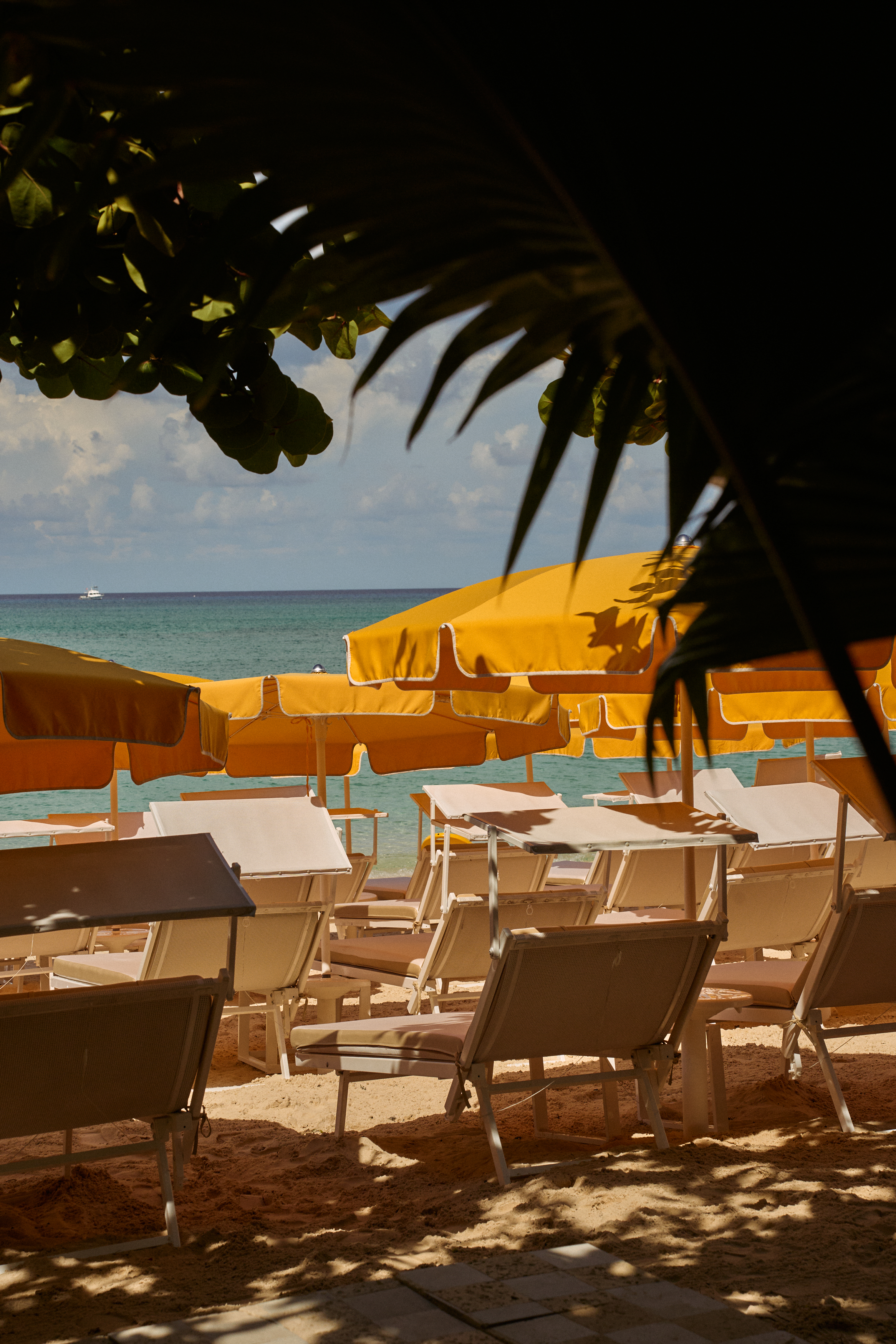 Image description not provided