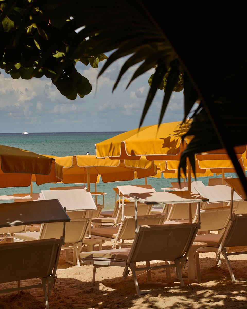 Image description not provided