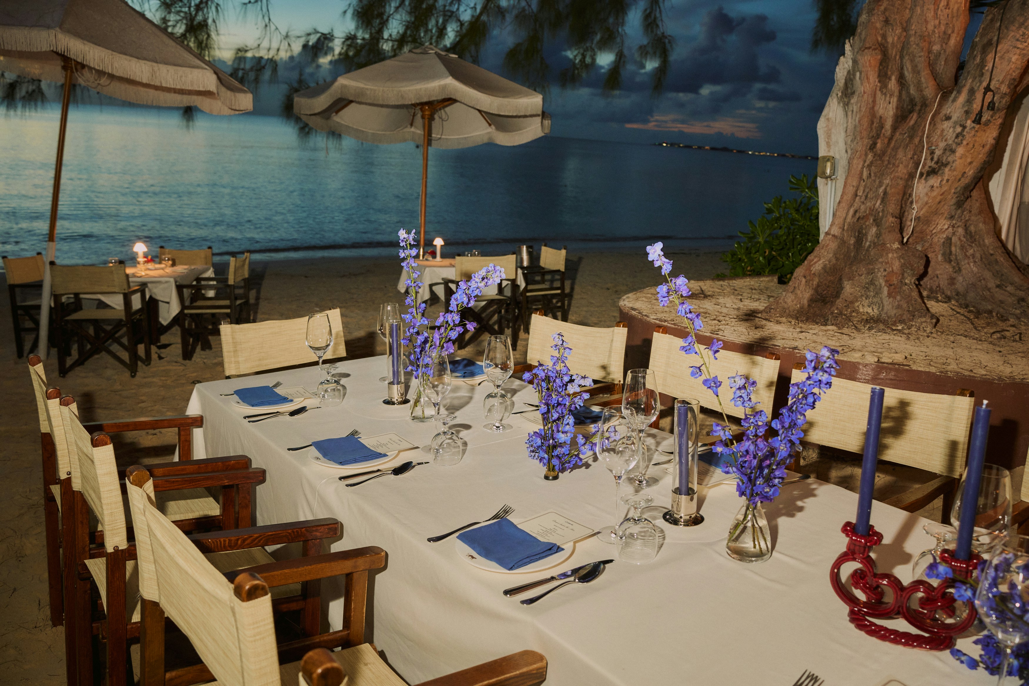 Image description not provided