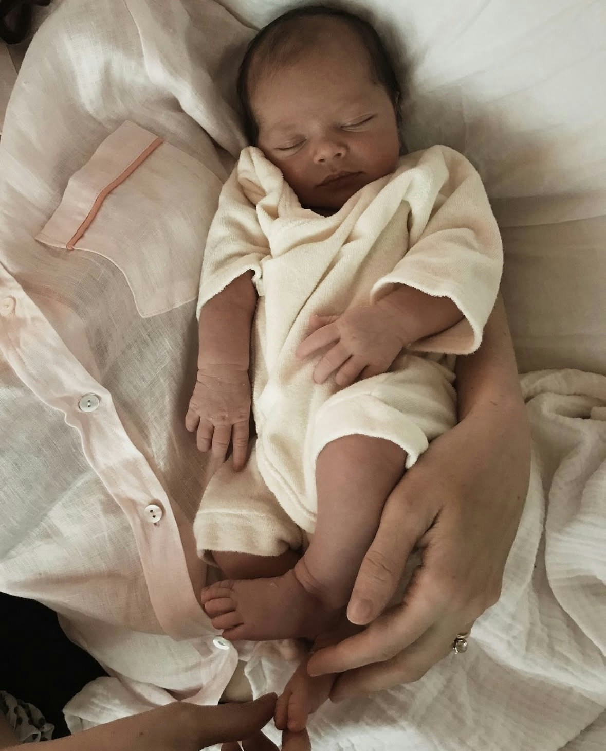 Image description not provided