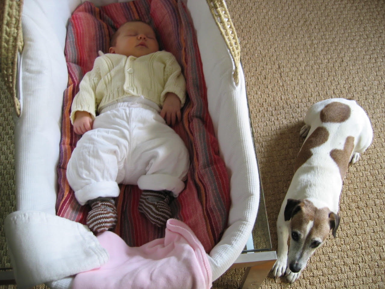 Image description not provided