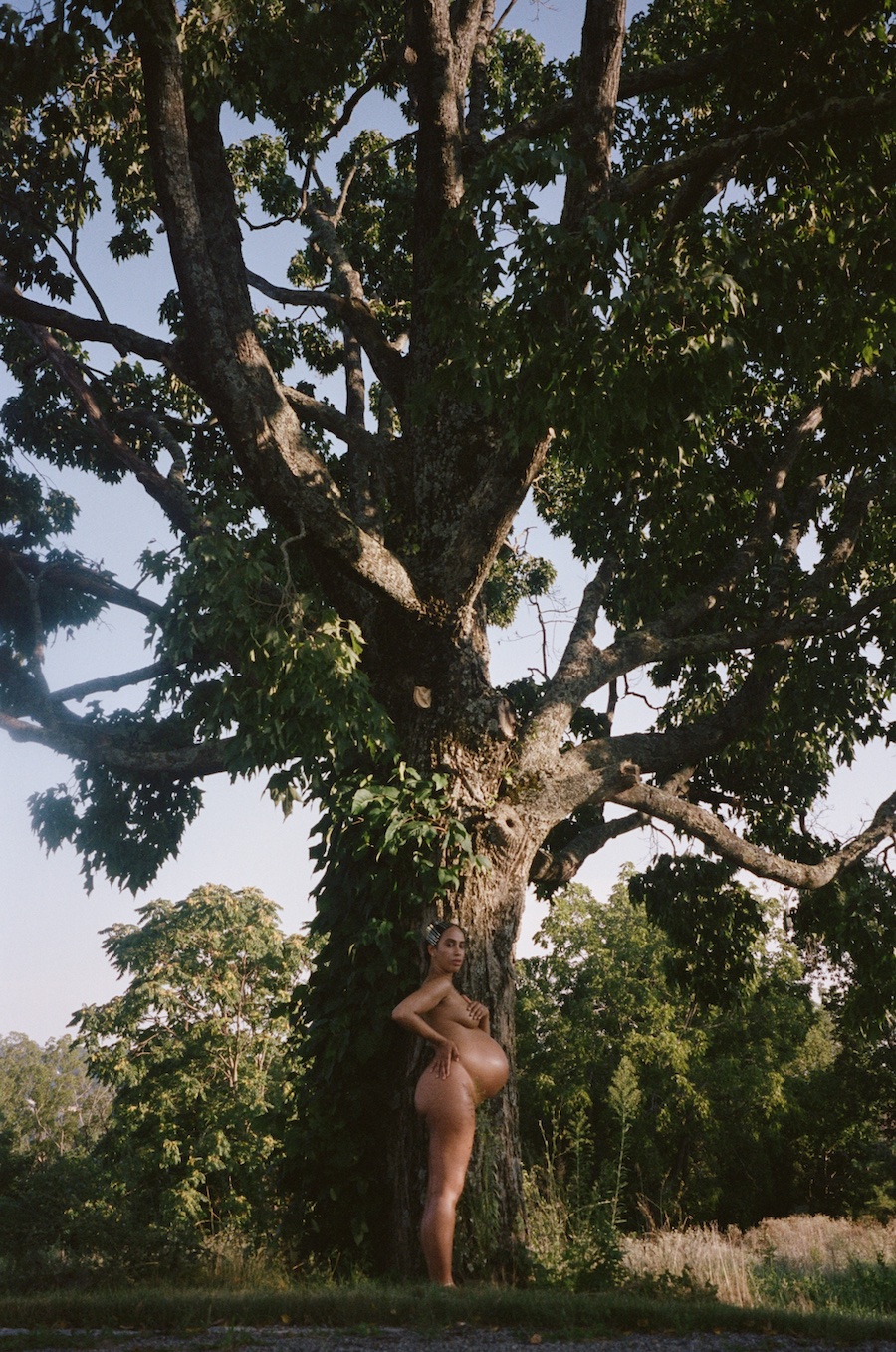 Image description not provided