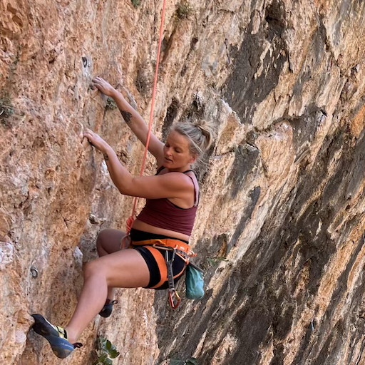 No image description provided