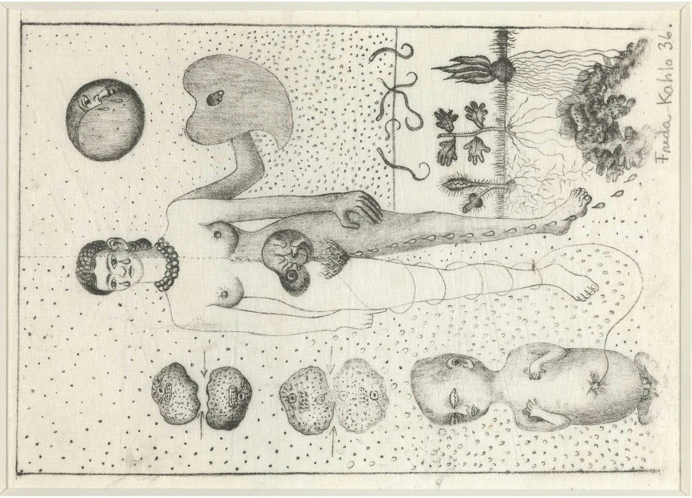 No image description provided.