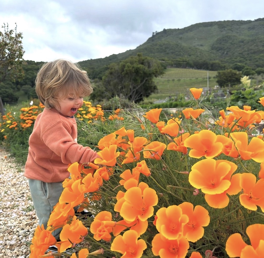 Image description not provided