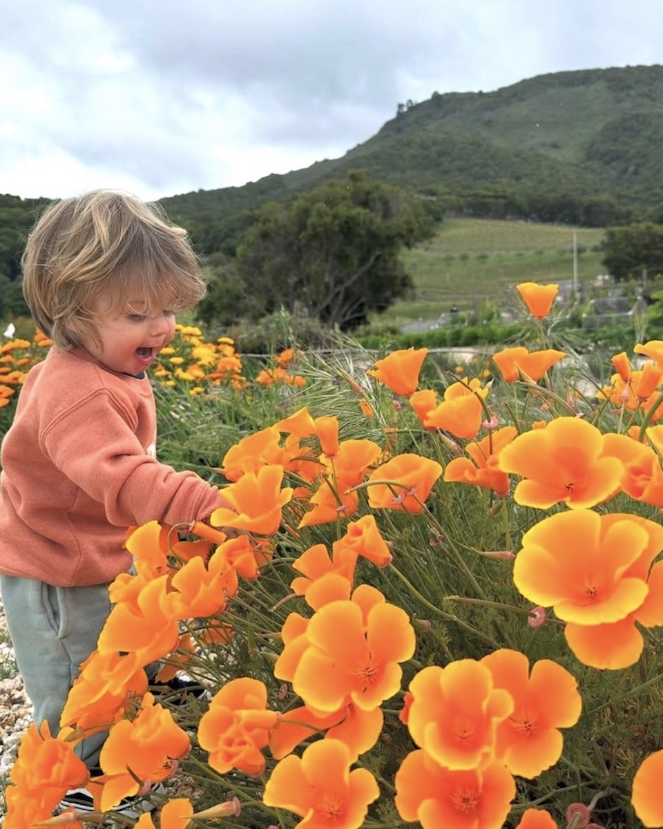 Image description not provided