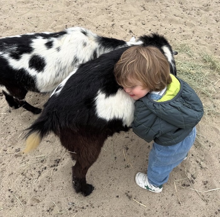 Image description not provided