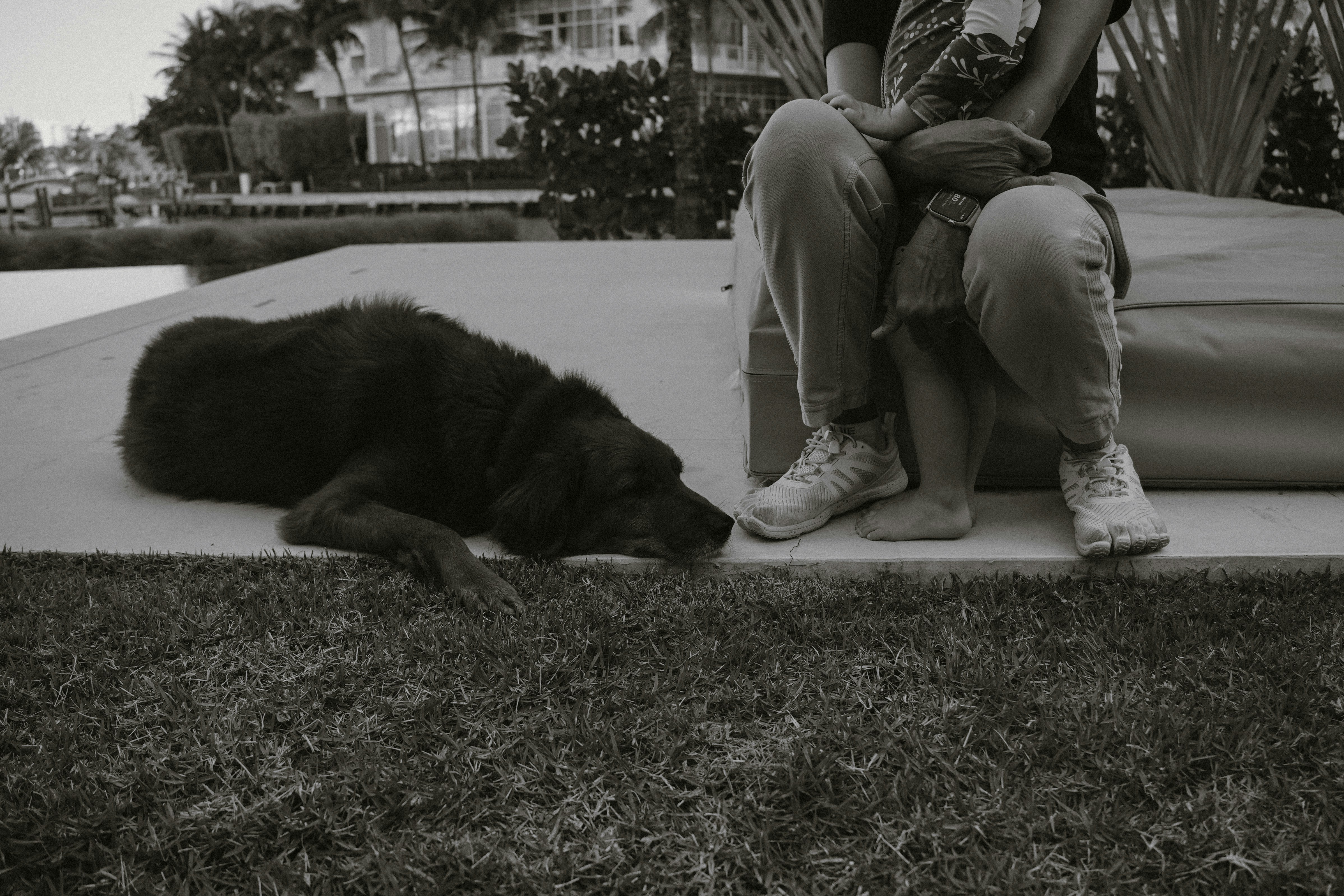 Image description not provided