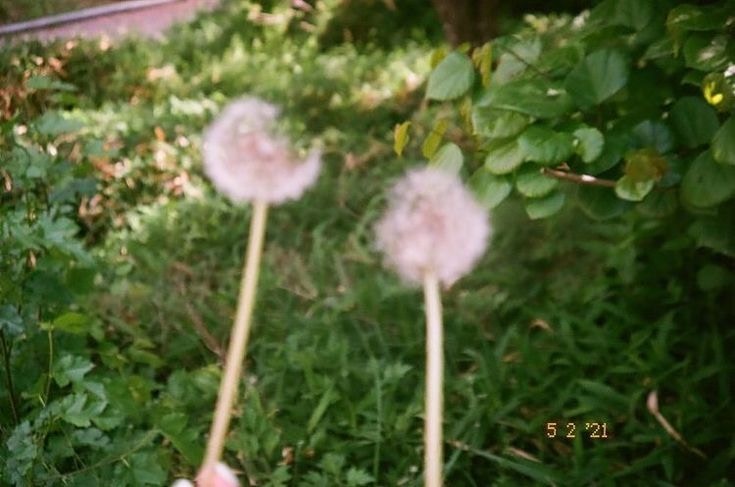 No image description provided