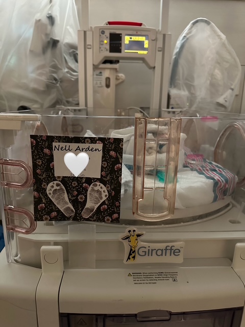 Image description not provided