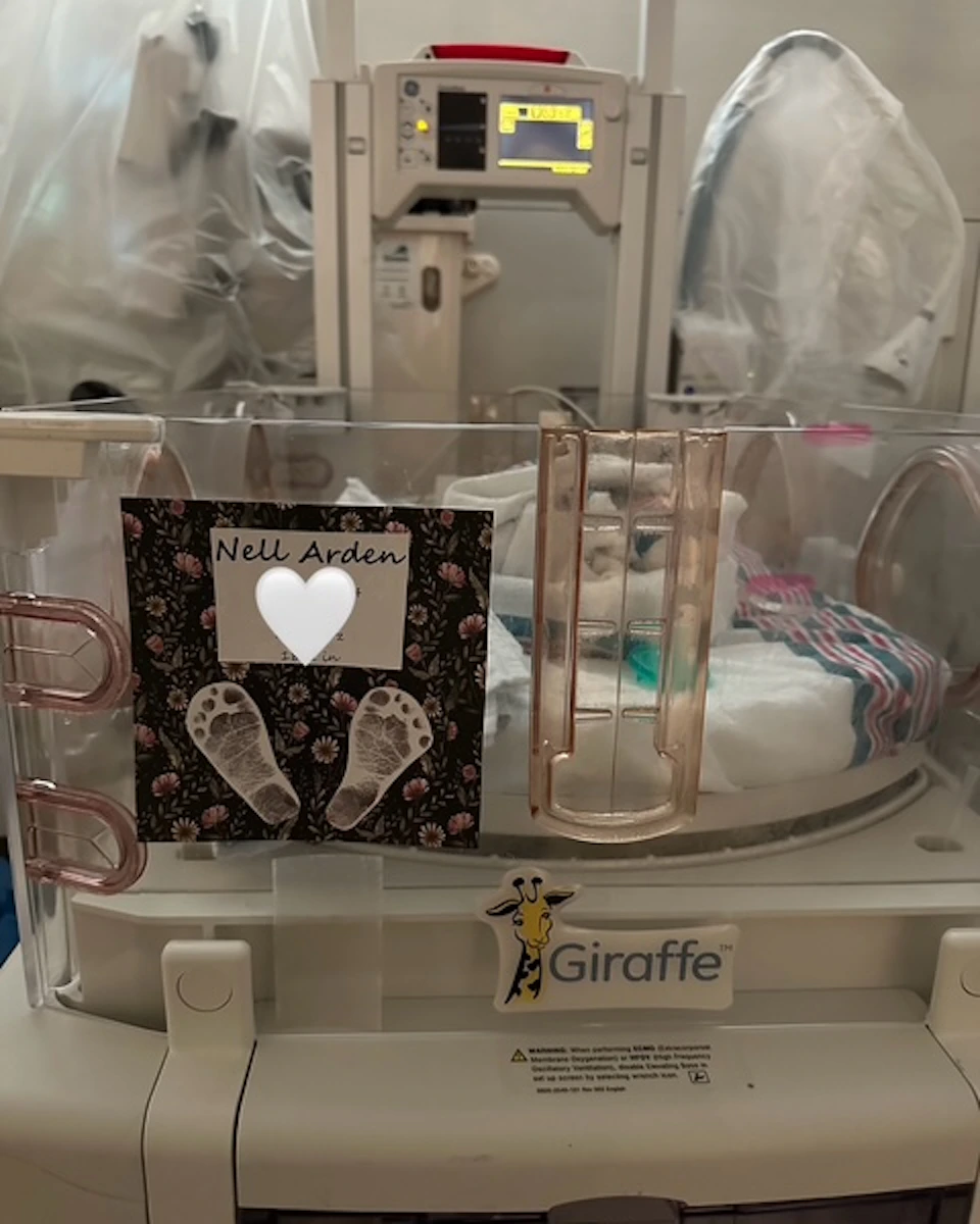 Image description not provided