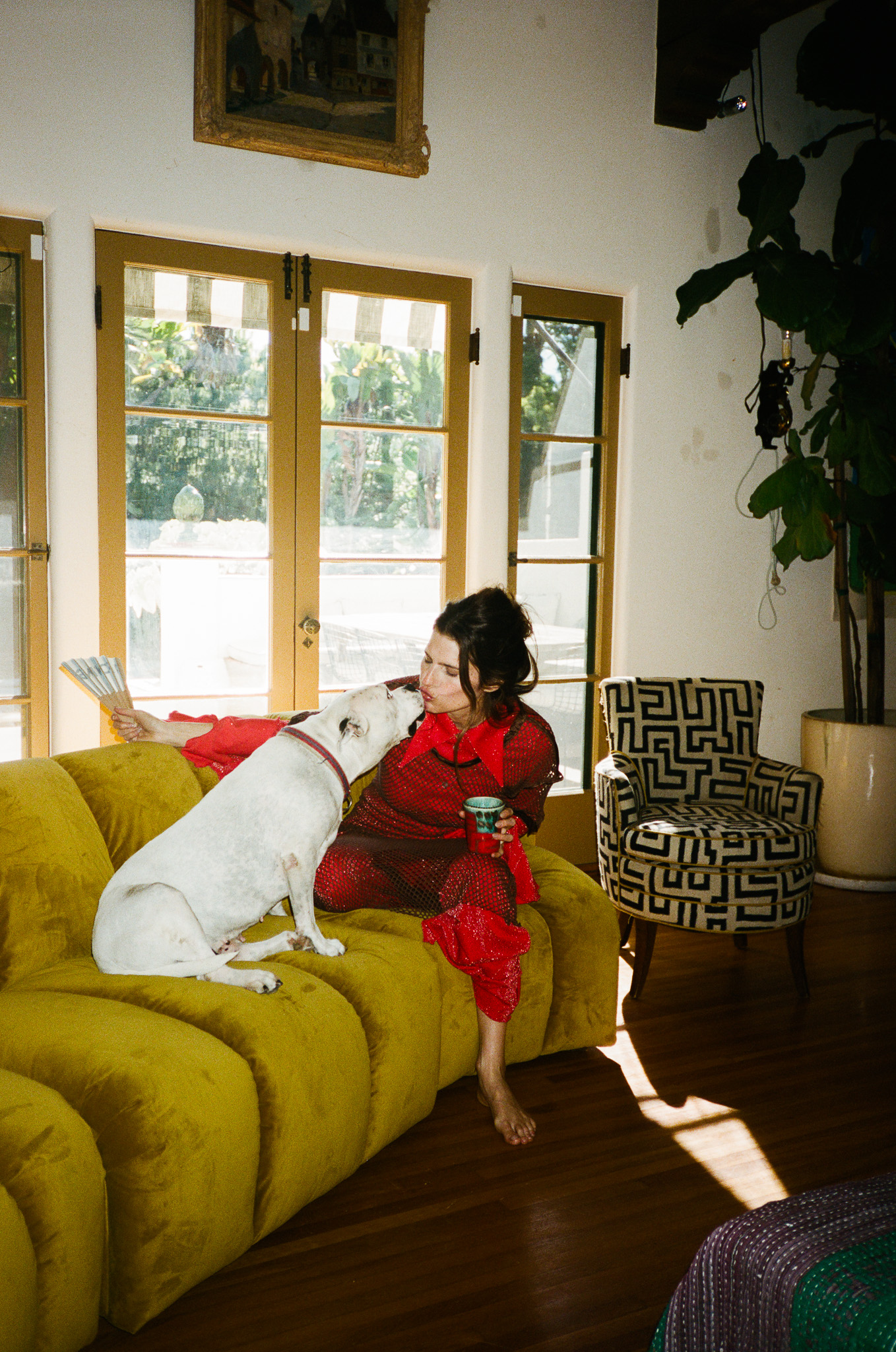 Image description not provided