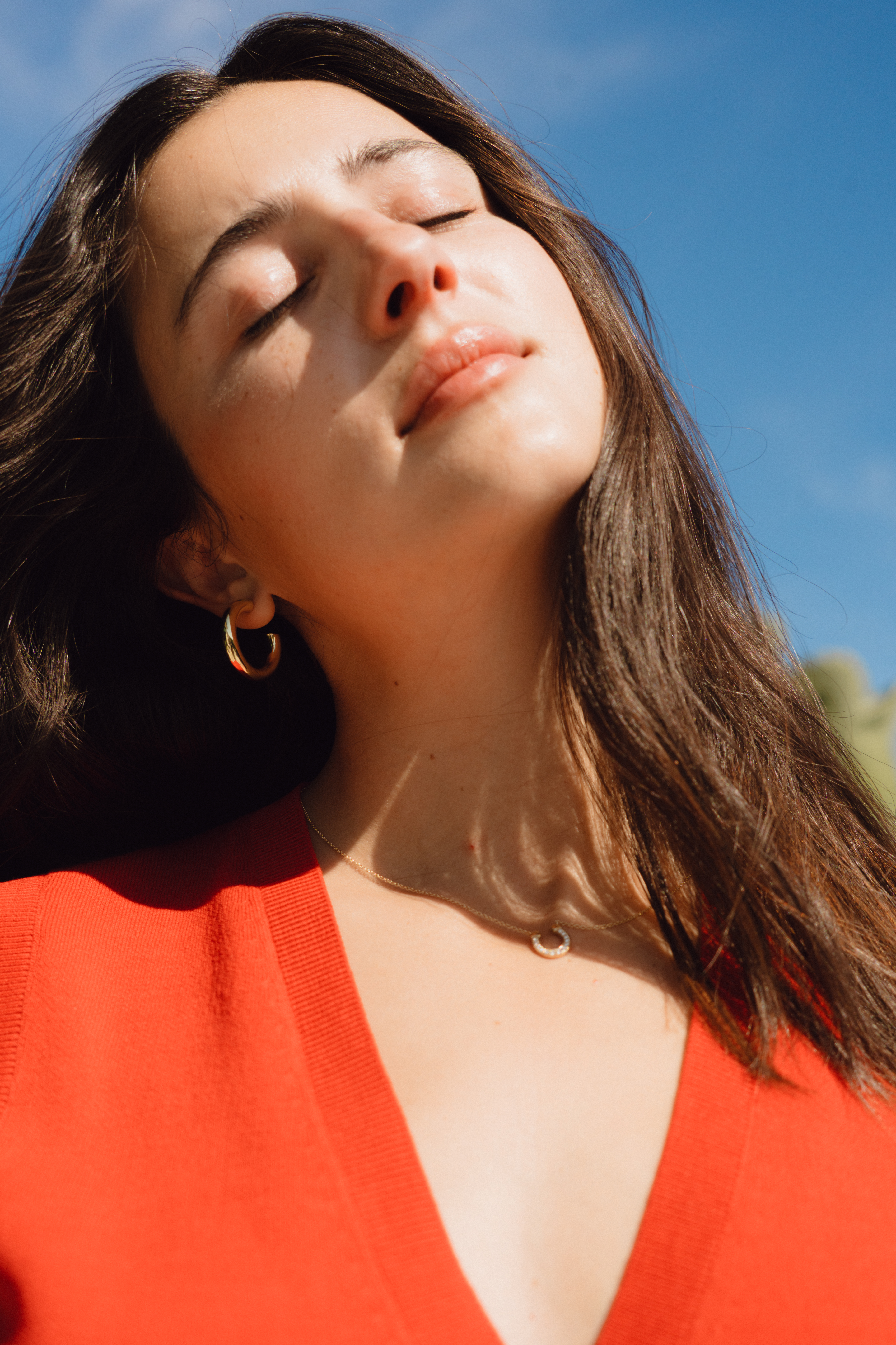 Image description not provided