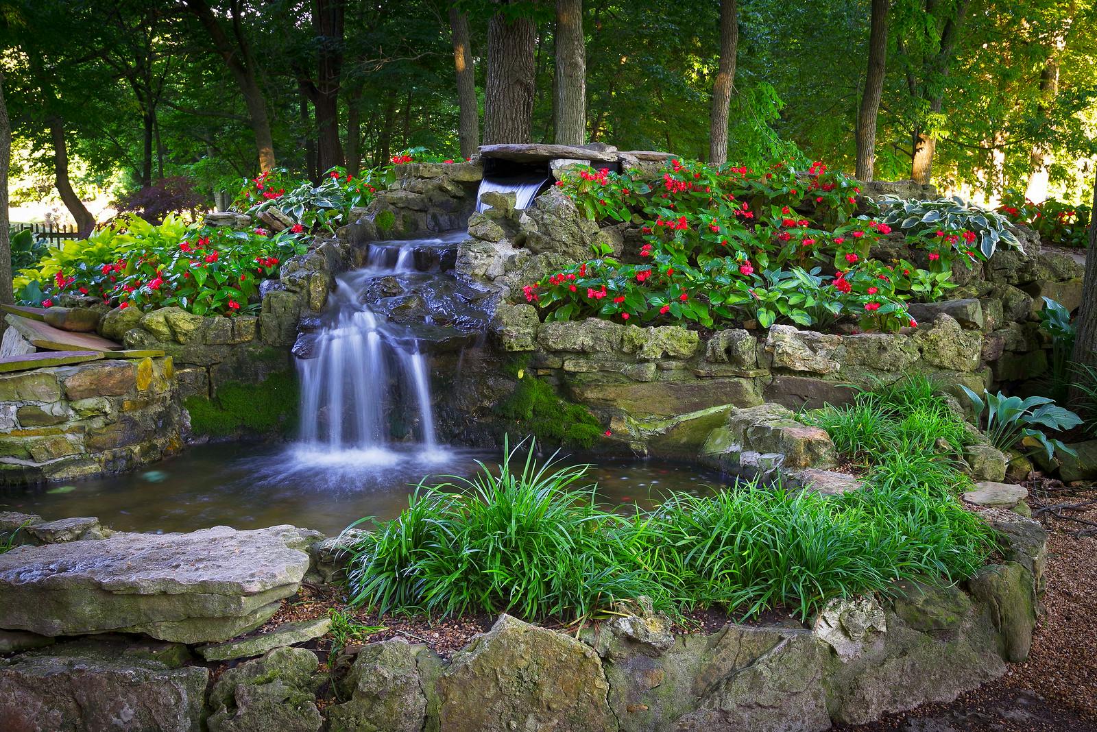 Where To See Beautiful Flowers This Spring in Springfield Springfield