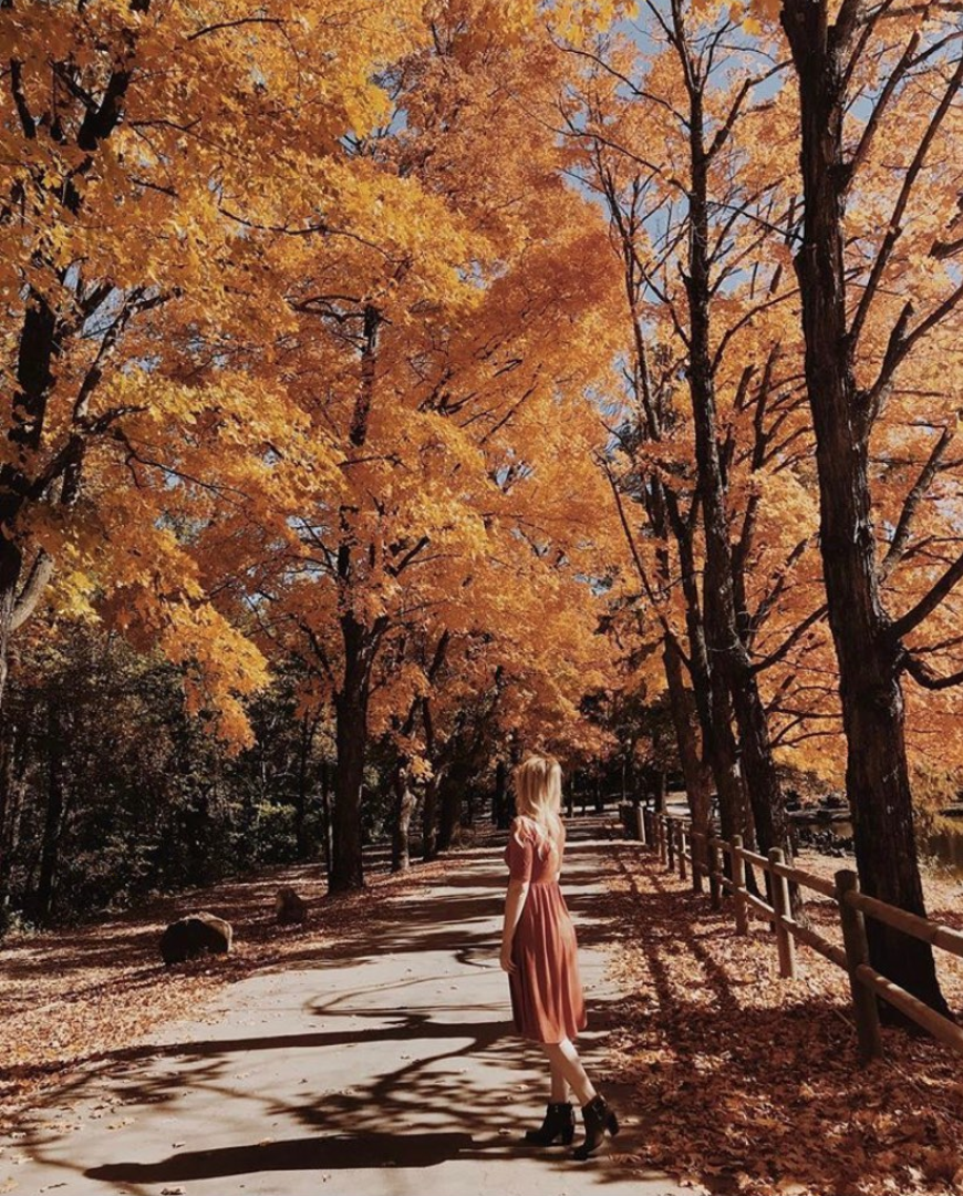 View Beautiful Fall Foliage At These 15+ Spots Around Springfield