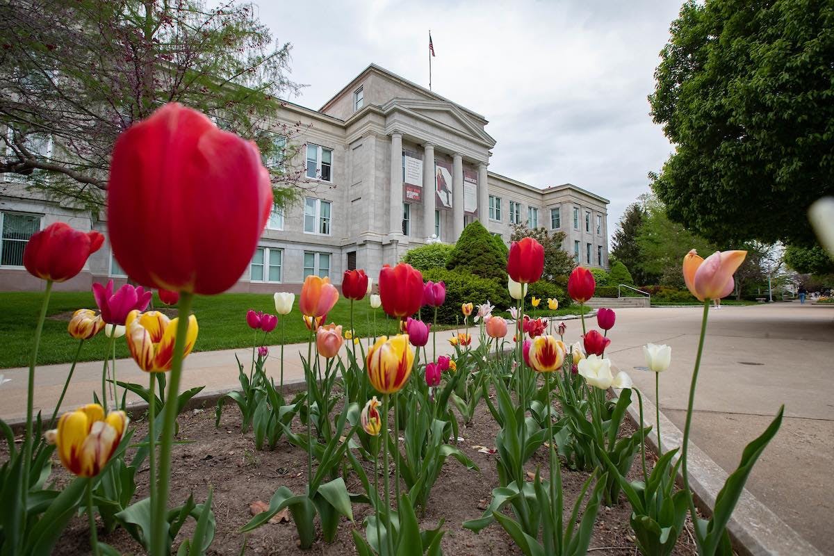 Where To See Beautiful Flowers This Spring in Springfield Springfield