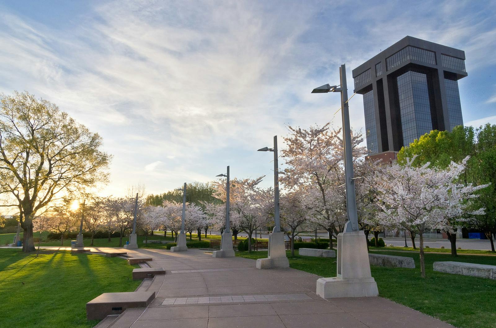 Where To See Beautiful Flowers This Spring in Springfield Springfield