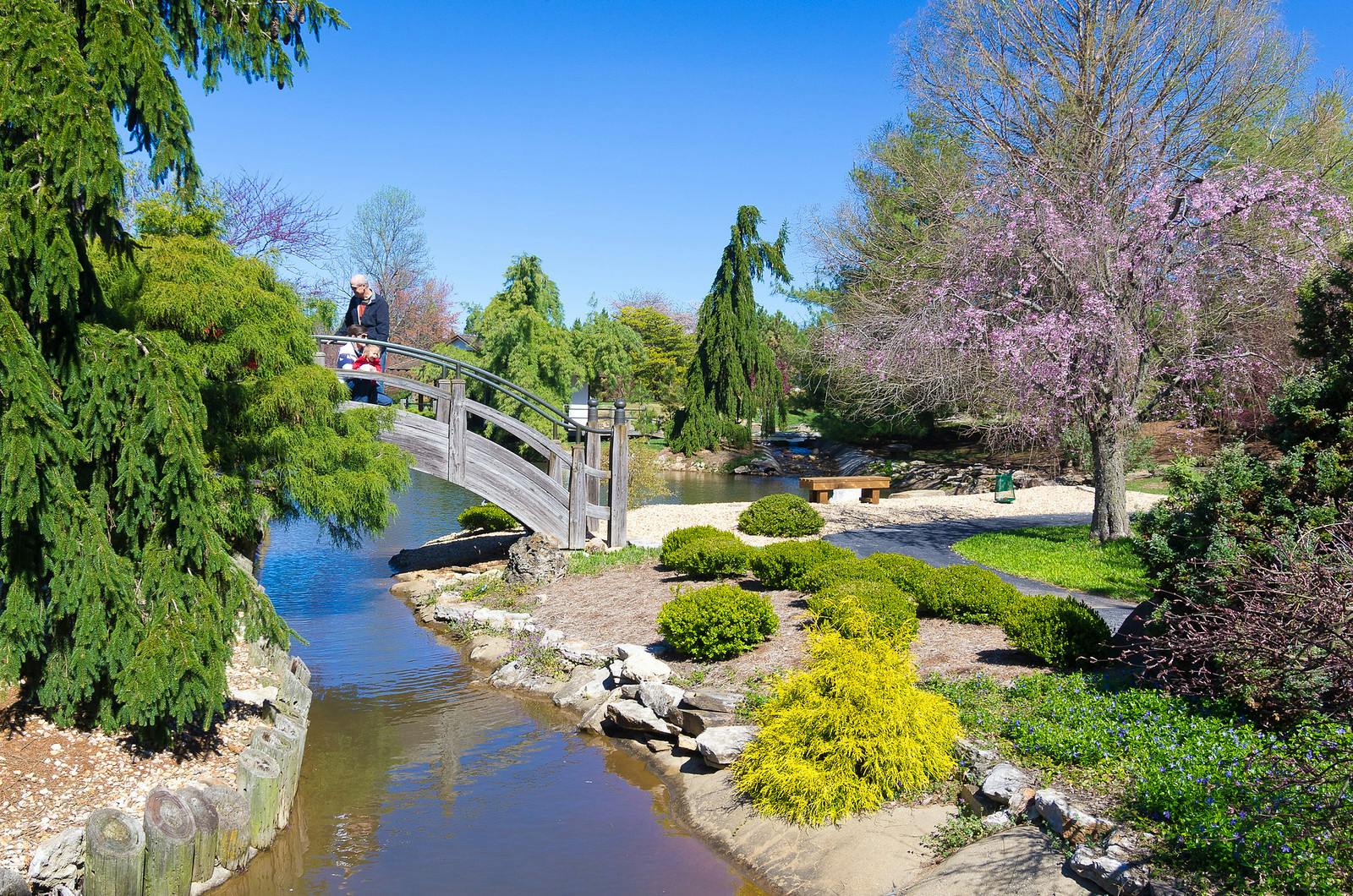 Where To See Beautiful Flowers This Spring In Springfield