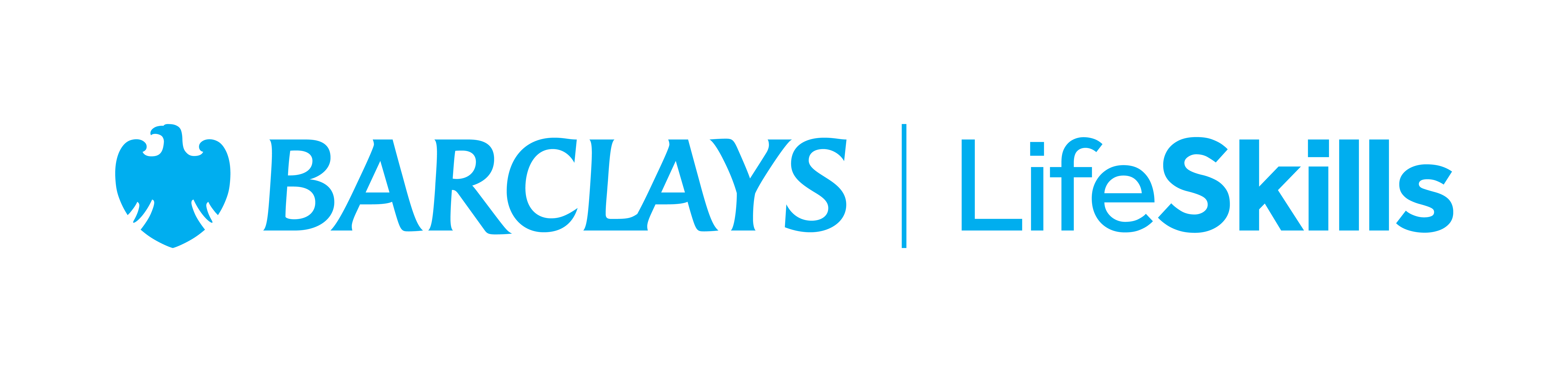 Company image