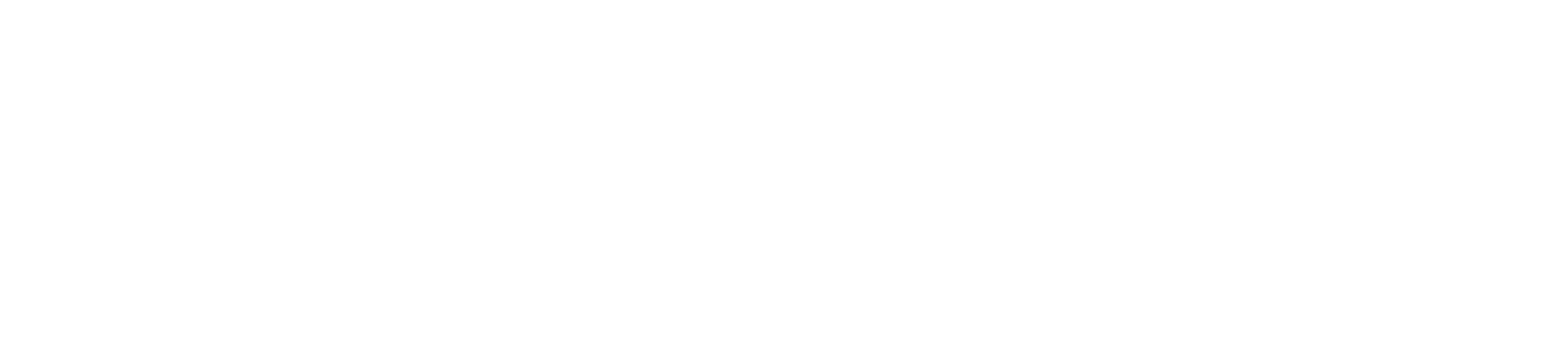 Spyder Footer Logo