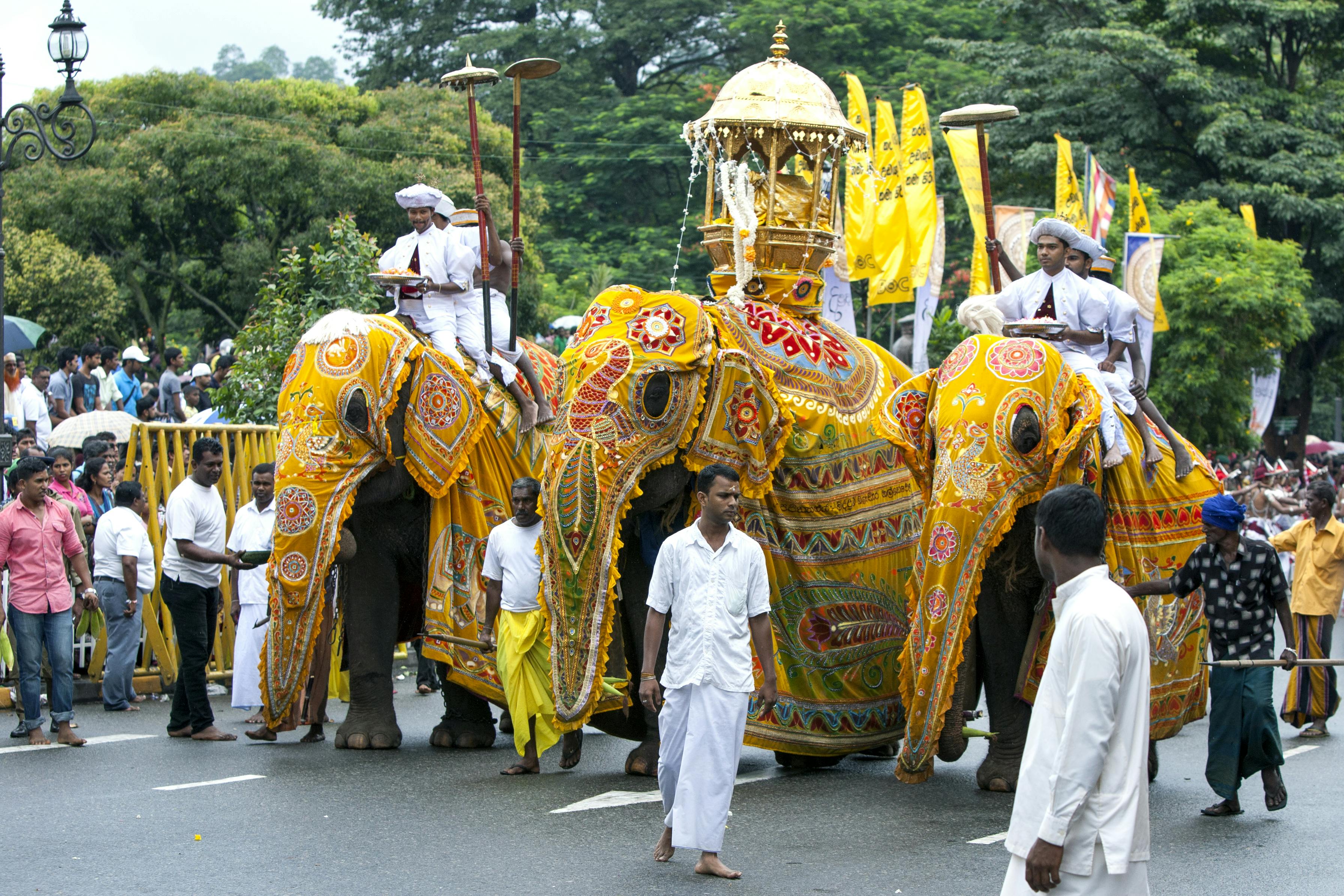 The Esala Perahera festival in Sri Lanka.