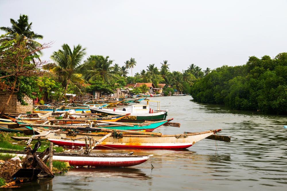 Negombo and its fishing boats